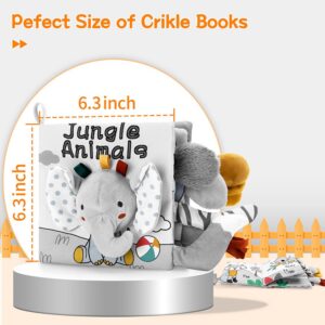 Jungle Animals Book