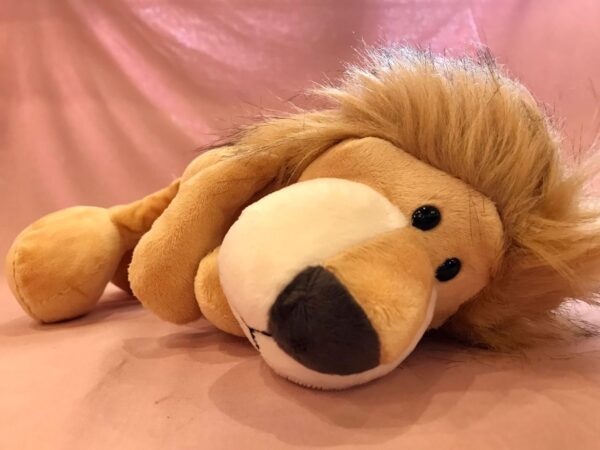 Baby Gift Basket - Lion World - Image 3