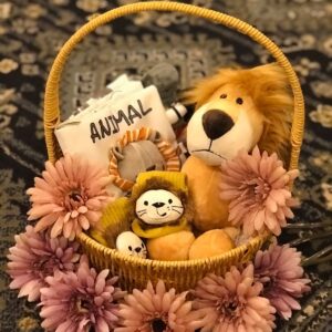 Baby Gift Basket - Lion World